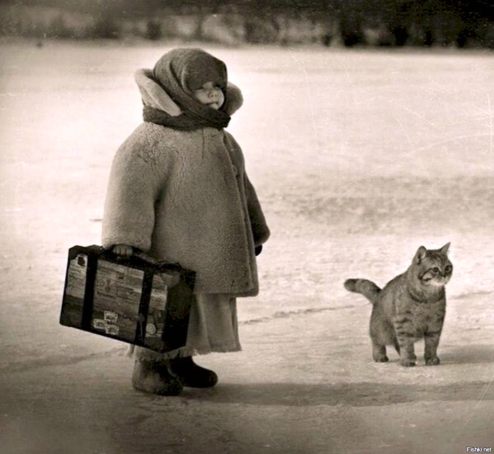 Девочка с чемоданом и котом