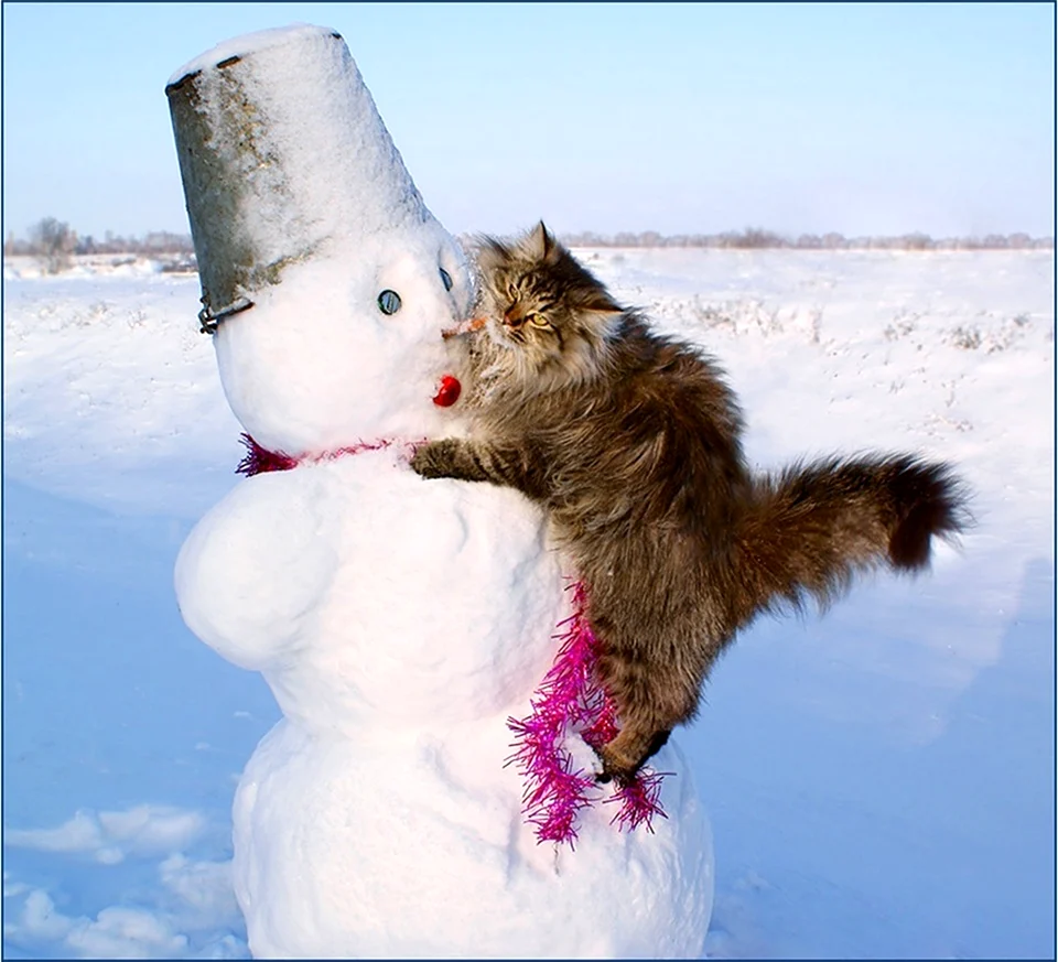 Кот Снеговик