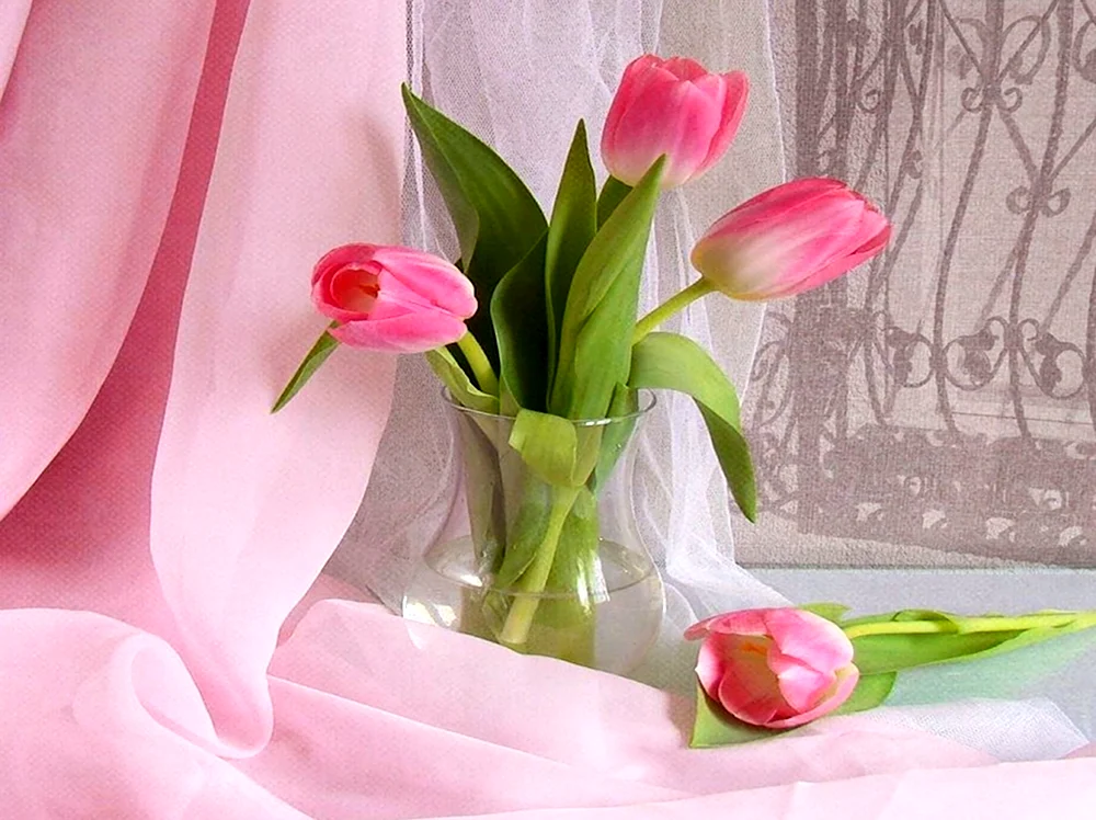 Нежные тюльпаны в вазе