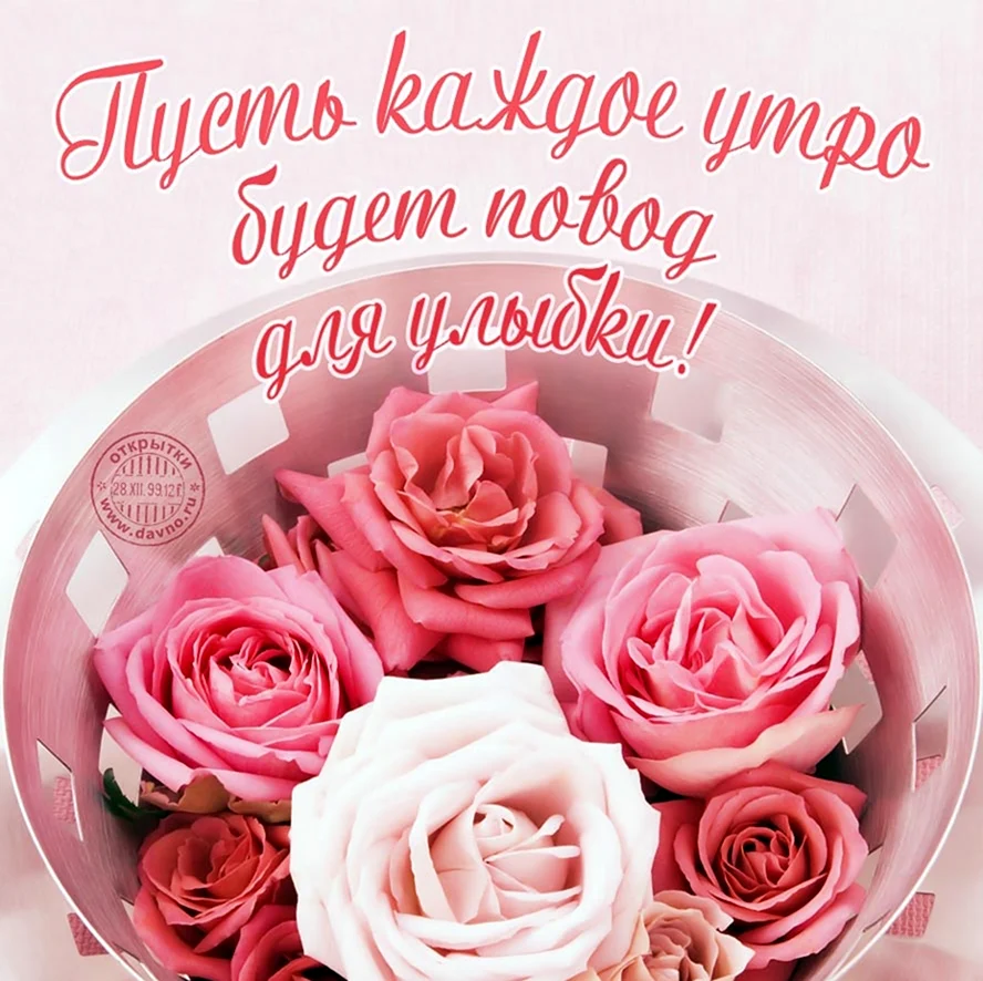 Розы с пожеланиями доброго утра и хорошего дня