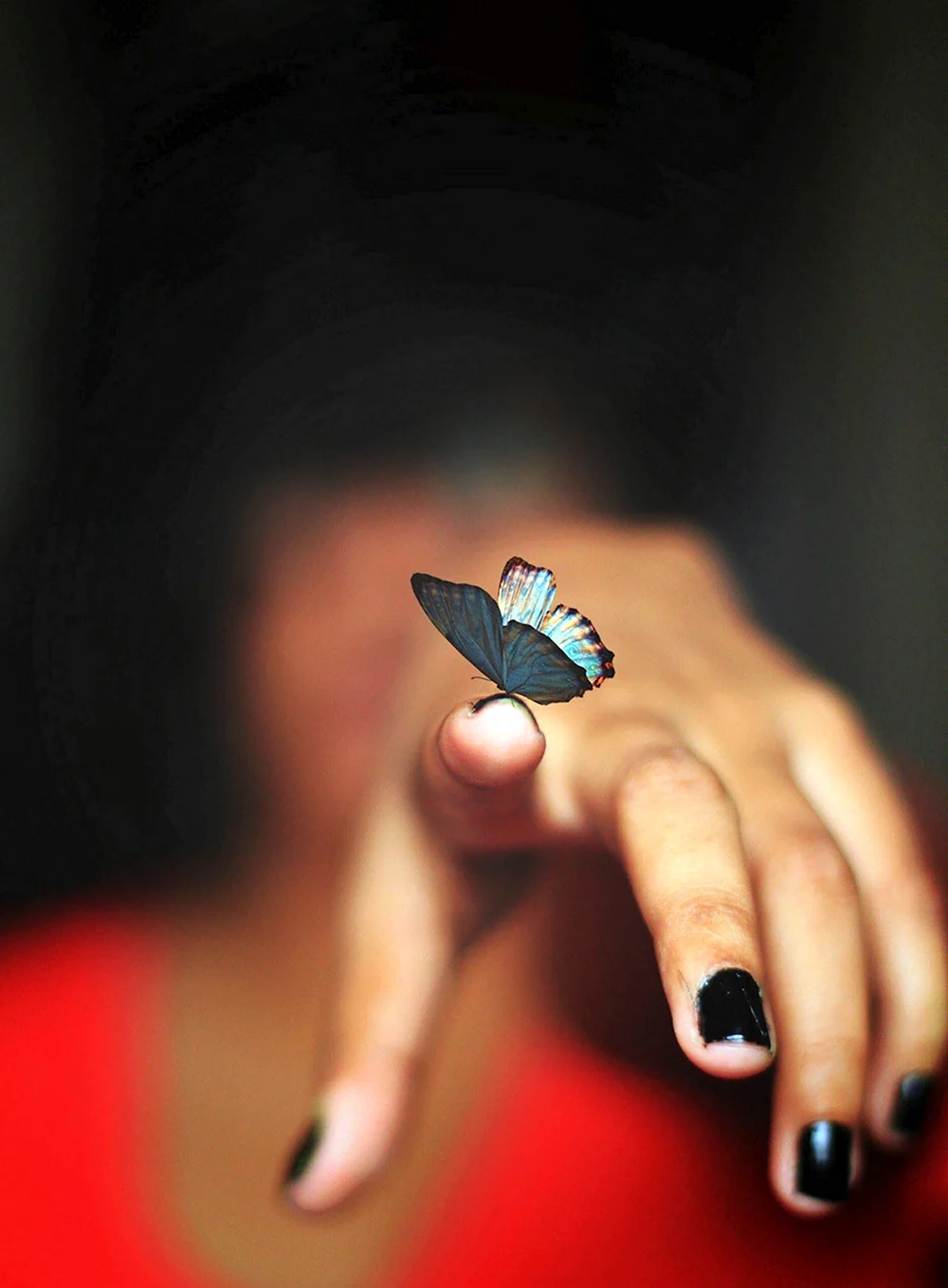 Рука с бабочкой на пальце