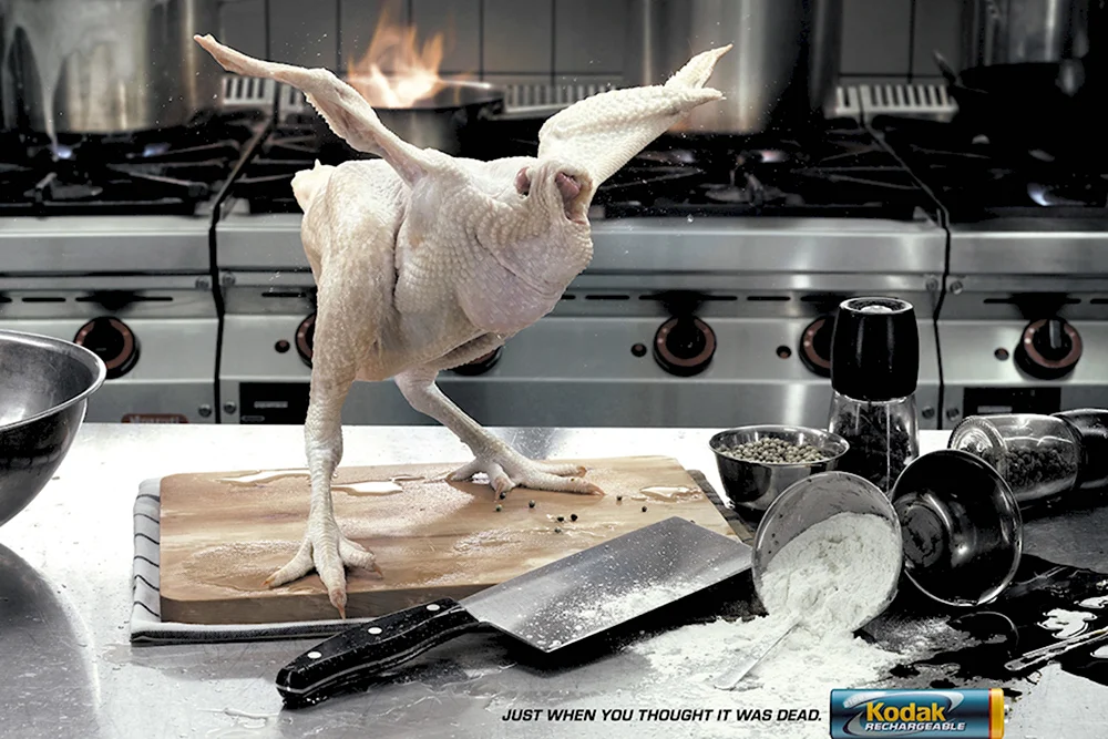 Креативная реклама курицы
