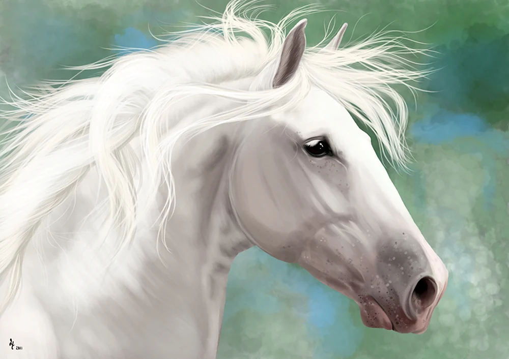 Морда белой лошади