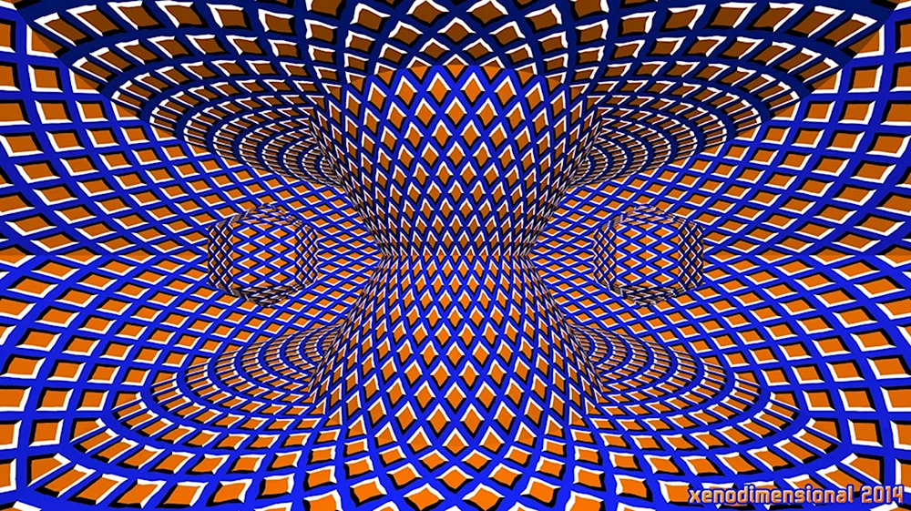 «Оптические иллюзии» Автор Джейкобс ПЭТ